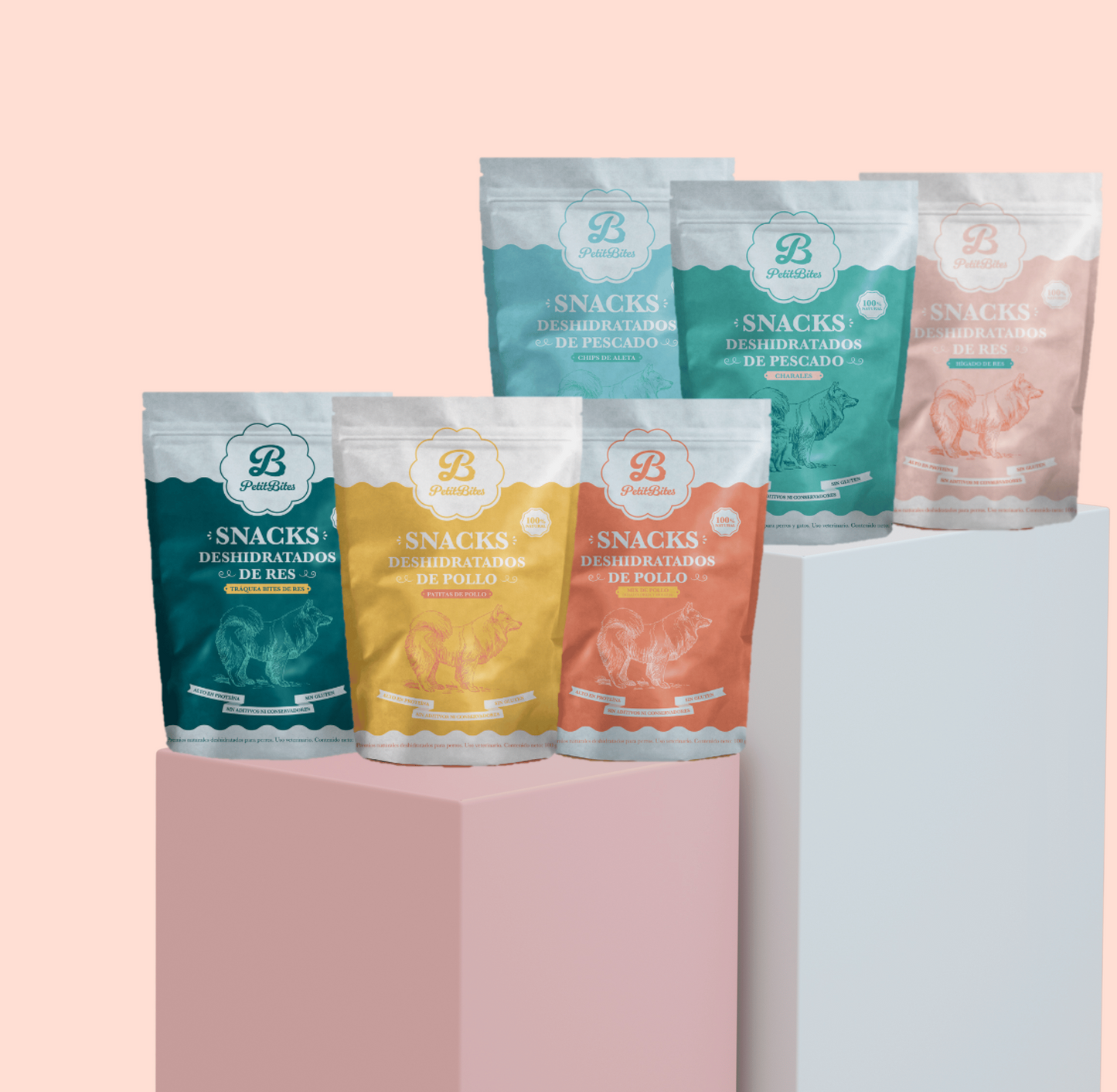 Kit 6 Productos