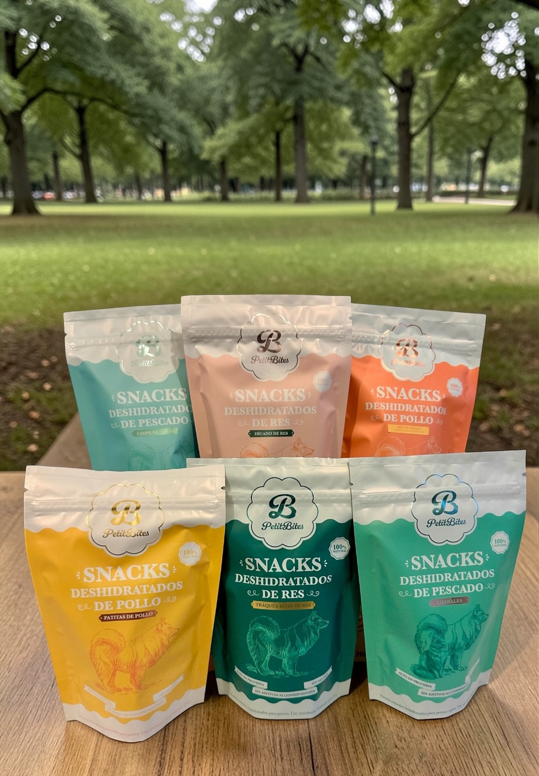 Kit 6 Productos